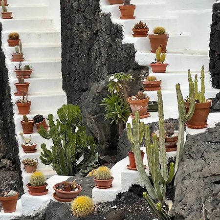 Sea View With Direct Access To Boulevard