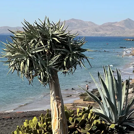 Sea View With Direct Access To Boulevard * Puerto del Carmen