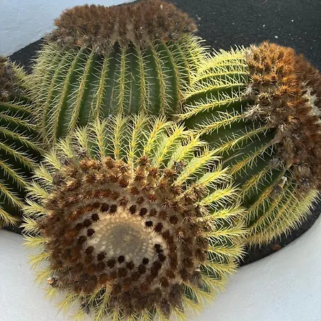 Sea View With Direct Access To Boulevard Apartment